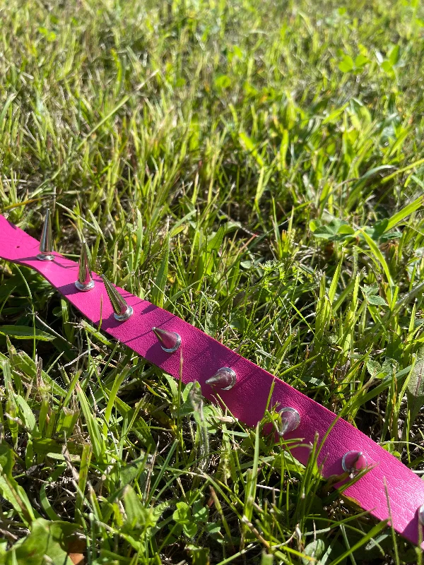 Pink Spiked Collar